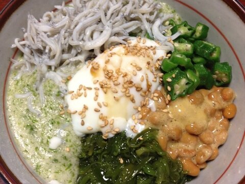 ネバトロしらす丼